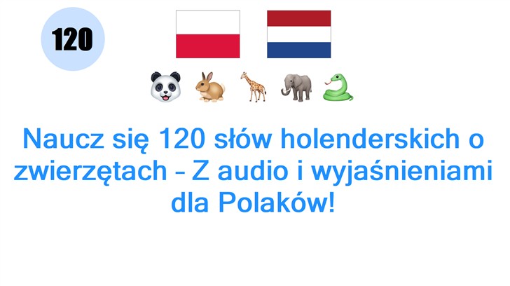 Naucz się 120 słów holenderskich o zwierzętach – Z audio i wyjaśnieniami dla Polaków!
